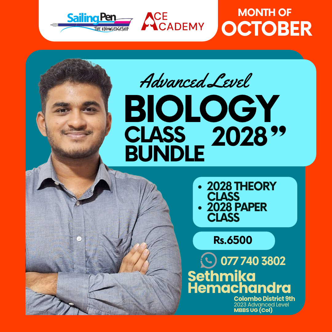 bundle